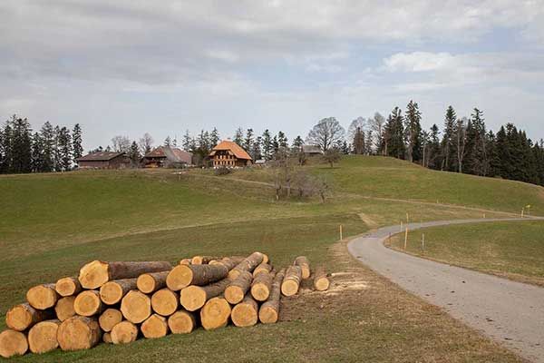 Hochwacht bei LangnauEin